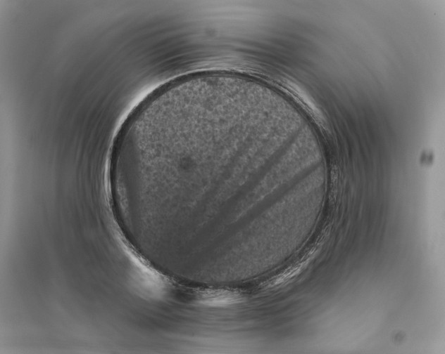 X0000094440788200711291635