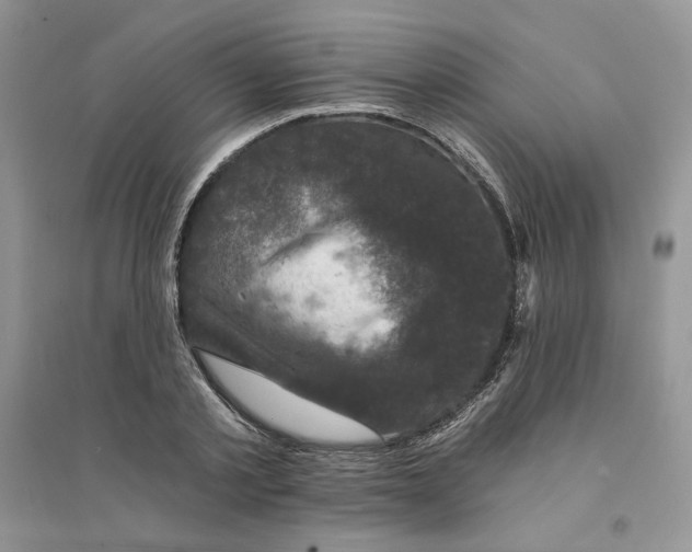 X0000094440789200711291635