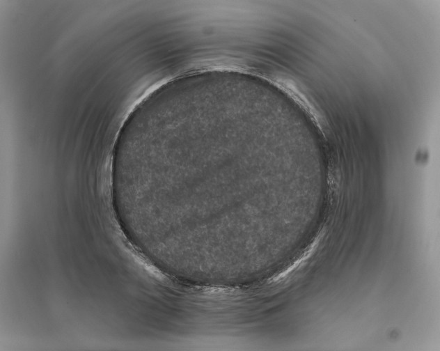 X0000094440790200711291635