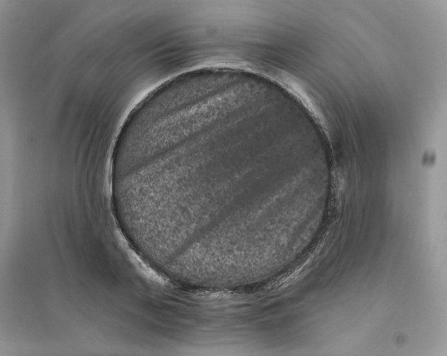 X0000094440791200711291635