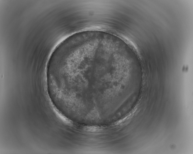 X0000094440792200711291634