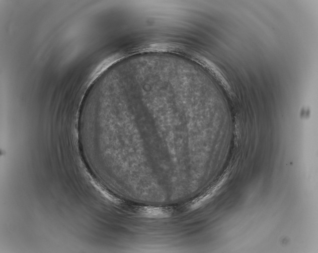 X0000094440794200711291634