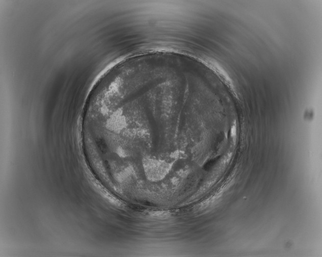 X0000094440798200711291634