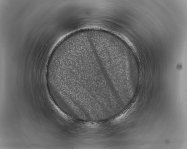 X0000094440799200711291634