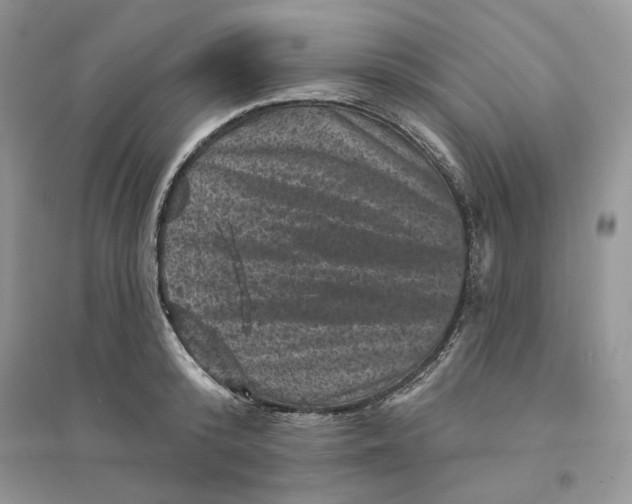 X0000094440800200711291634