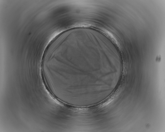 X0000094440802200711291634