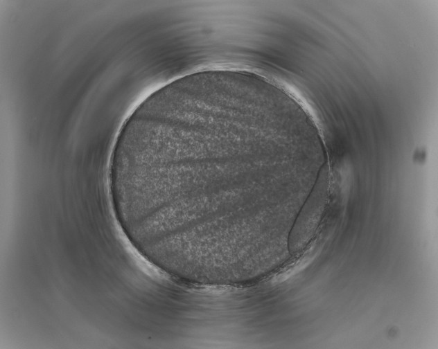 X0000094440803200711291634