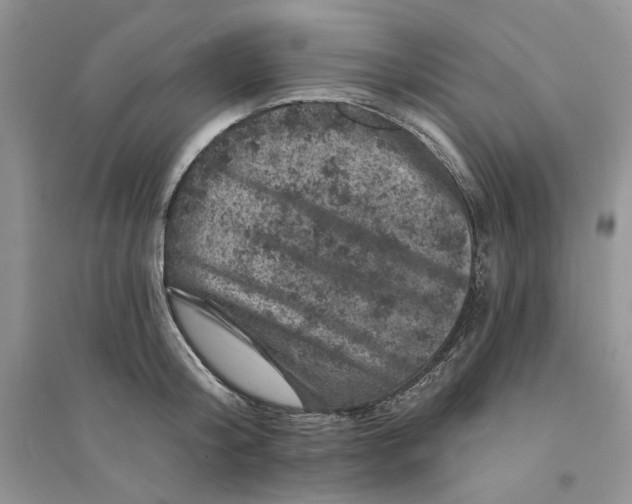 X0000094440804200711291634