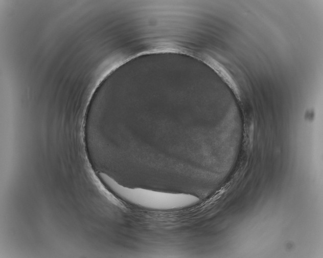 X0000094440805200711291634