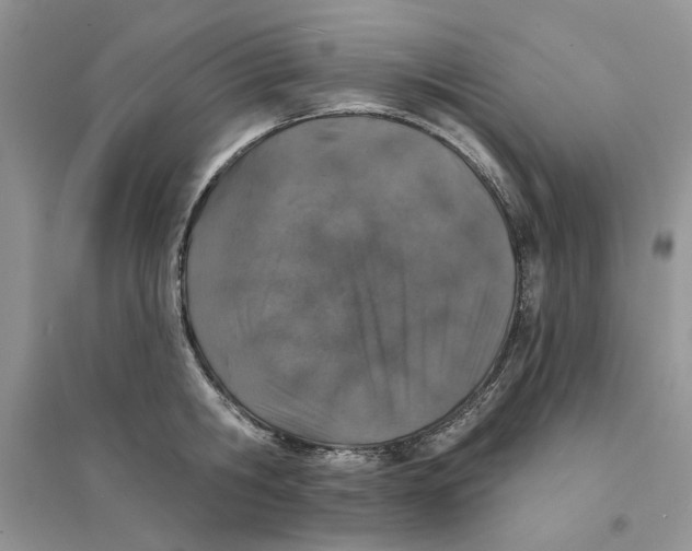 X0000094440806200711291634