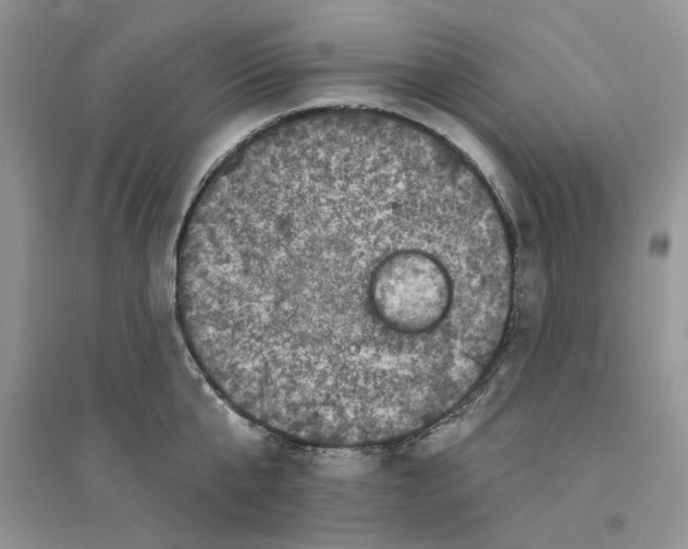 X0000094440807200711291634