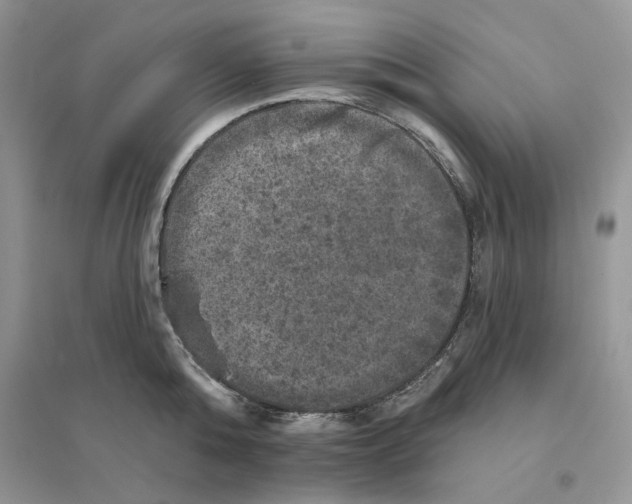 X0000094440808200711291634