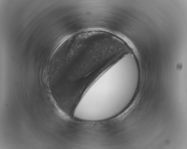 X0000094440809200711291634