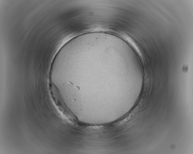 X0000094440810200711291634