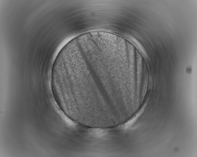 X0000094440812200711291634