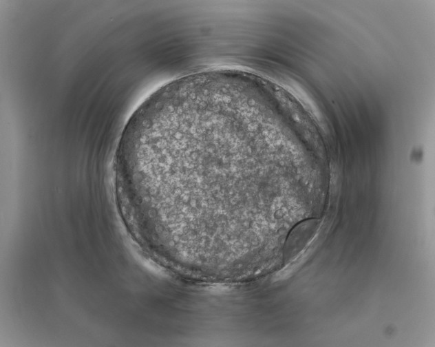 X0000094440814200711291634