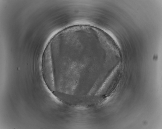 X0000094440815200711291634