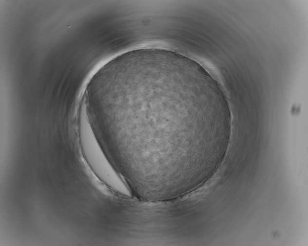 X0000094440816200711291634