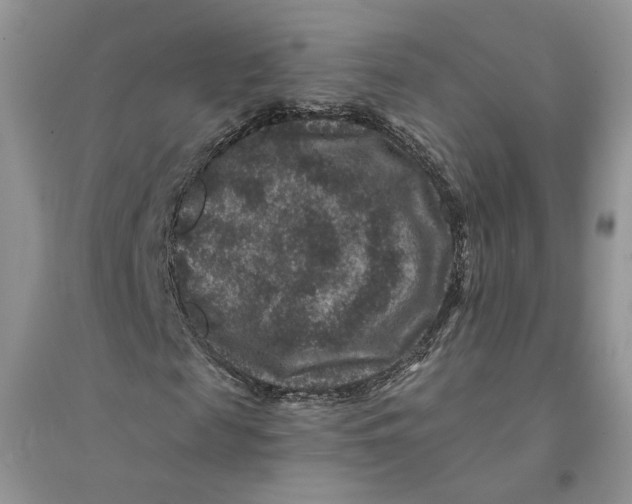 X0000094440817200711291633