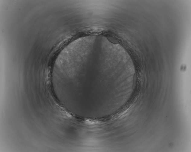 X0000094440818200711291633