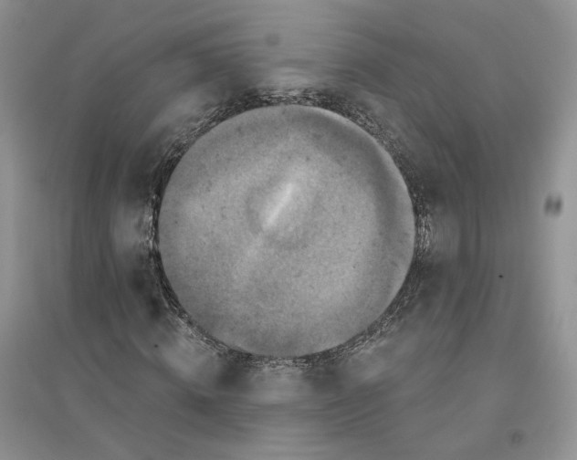 X0000094440820200711291633