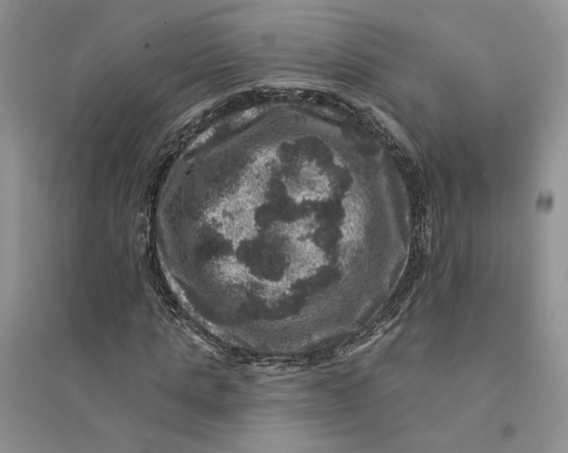 X0000094440821200711291634