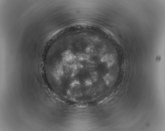 X0000094440822200711291634