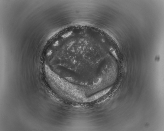 X0000094440823200711291634