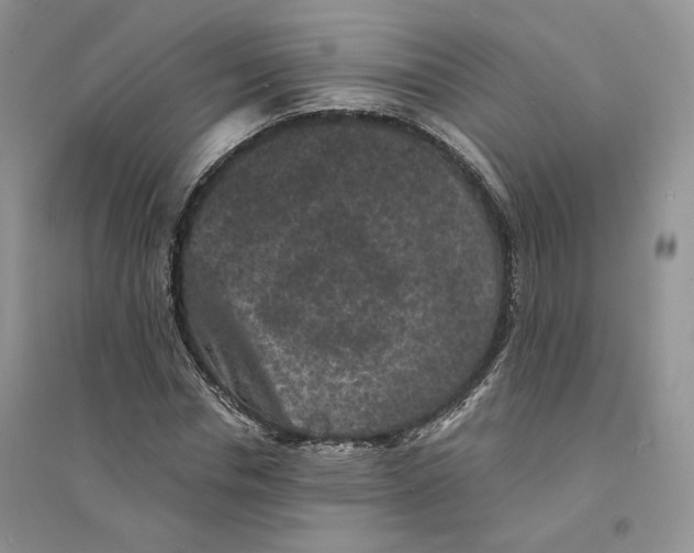 X0000094440826200711291634