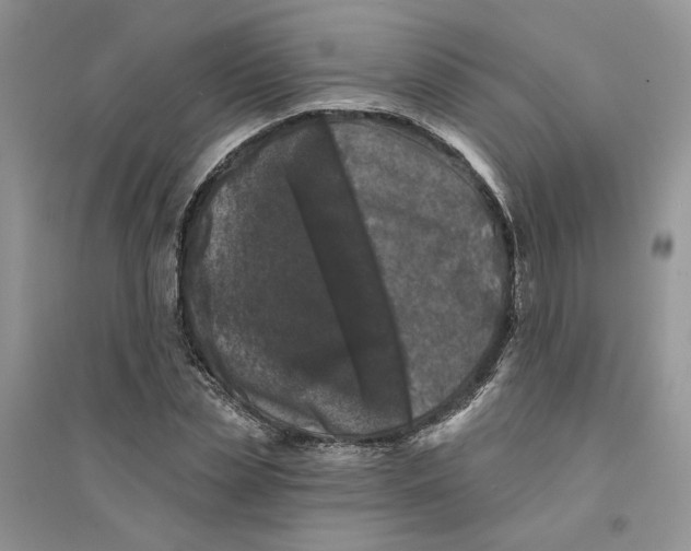 X0000094440829200711291634