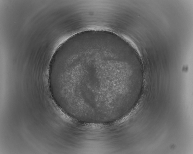 X0000094440831200711291634