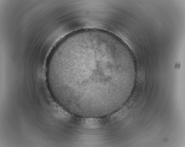 X0000094440832200711291634