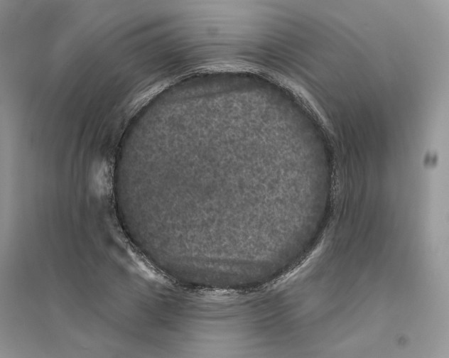 X0000094440833200711291634