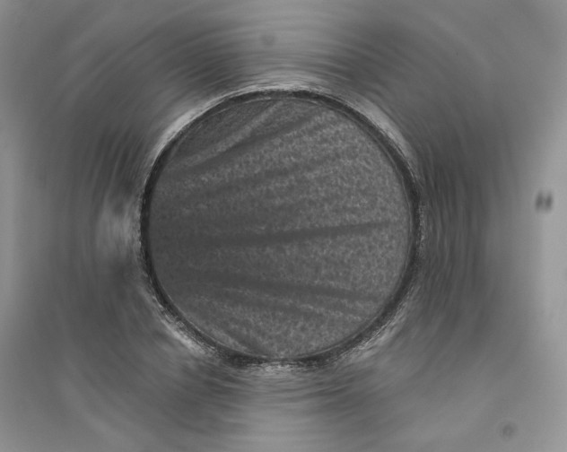 X0000094440834200711291634