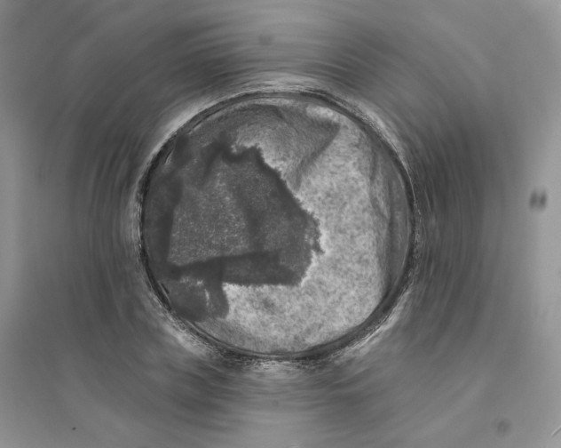 X0000094440835200711291634