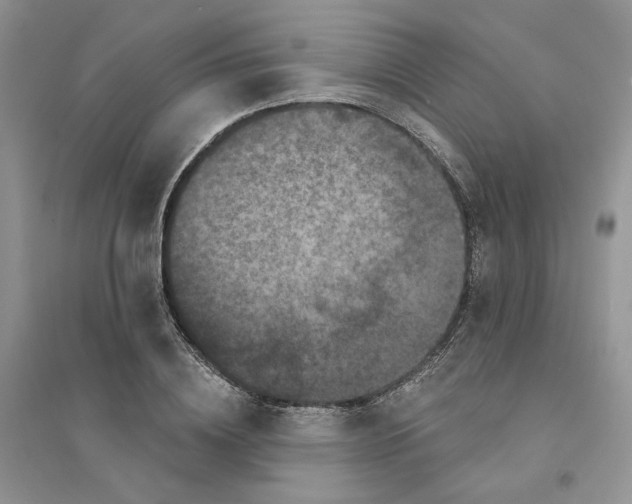 X0000094440836200711291634