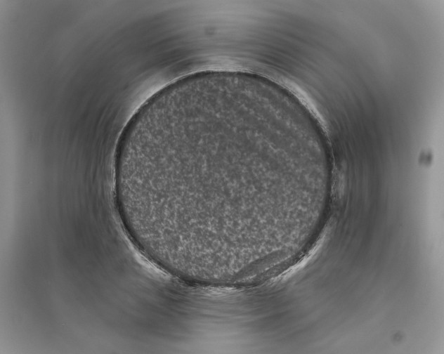 X0000094440837200711291634