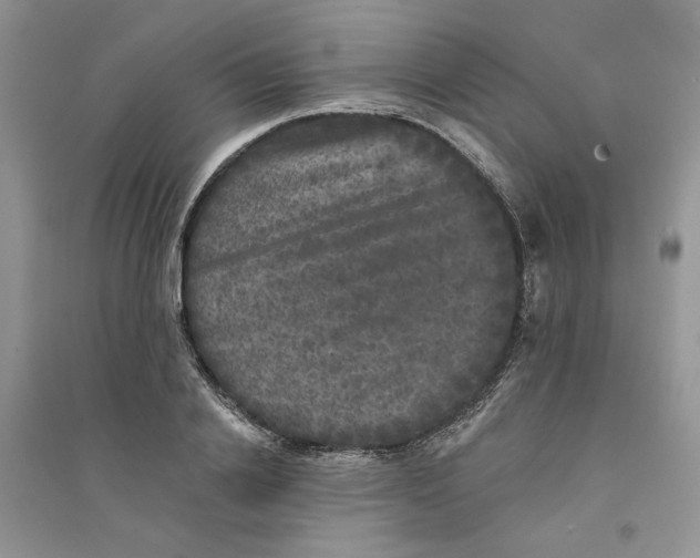 X0000094440838200711291634