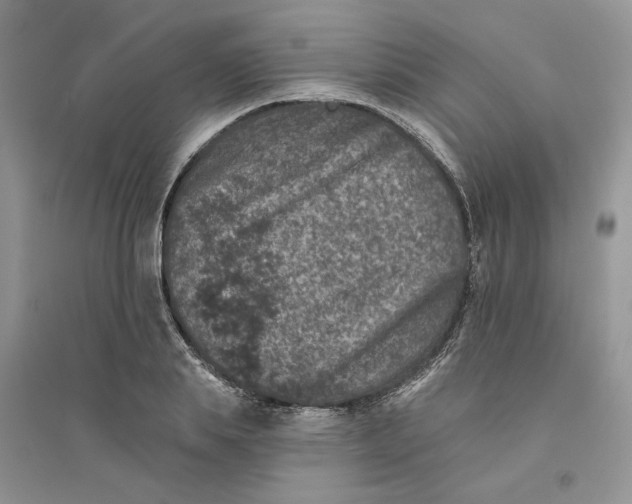 X0000094440839200711291634