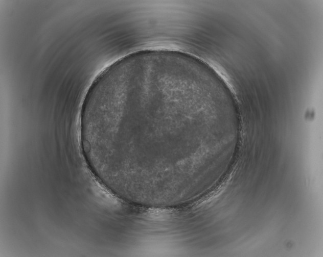 X0000094440840200711291634