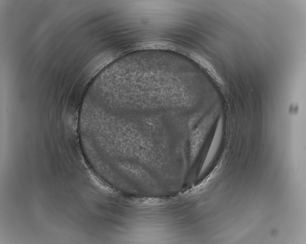 X0000094440841200711291634