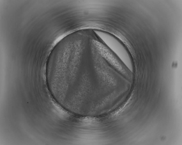 X0000094440842200711291634