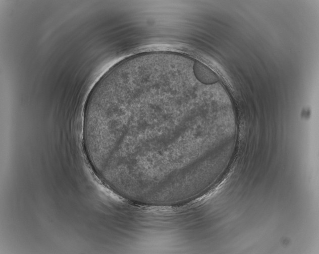 X0000094440844200711291634