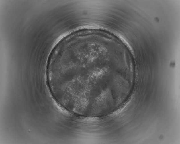 X0000094440845200711291634