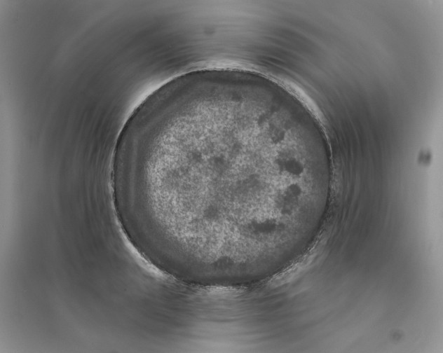 X0000094440847200711291634