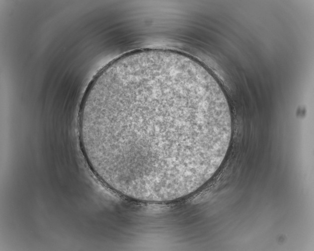 X0000094440848200711291634