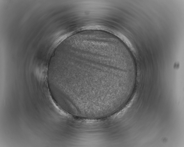 X0000094440849200711291634