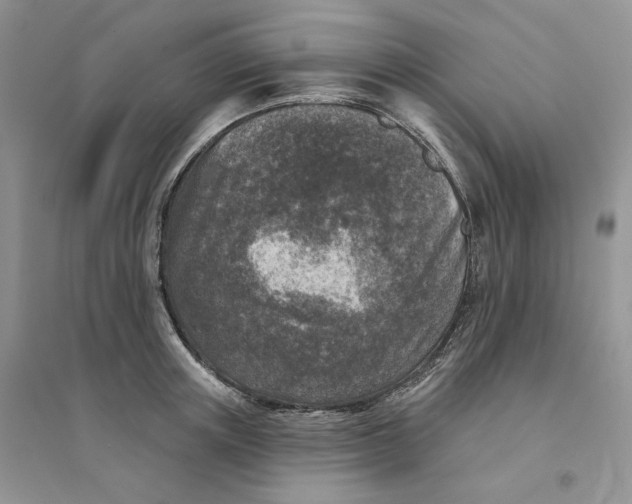 X0000094440851200711291634