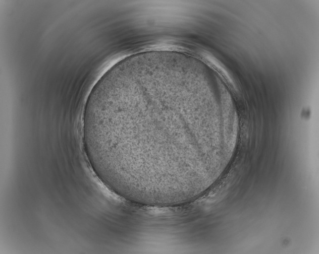 X0000094440852200711291634