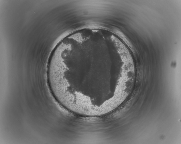 X0000094440853200711291634